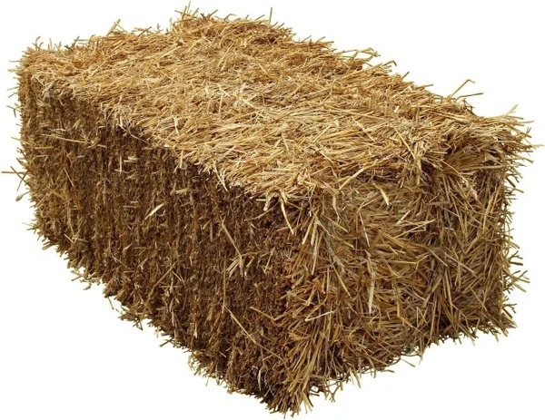15 kg de paille d’orge fraîche – Pour cochon d’Inde, lapin, hamster, cheval
