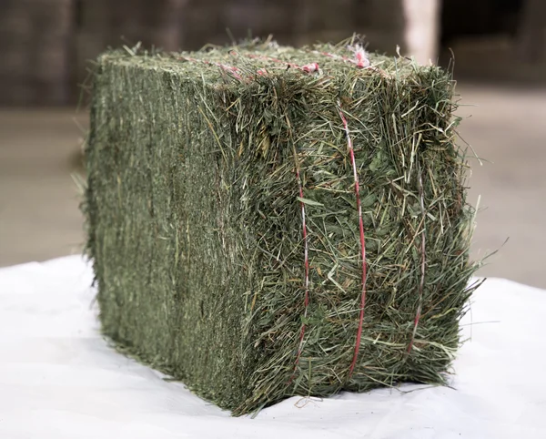 Foin de Crau AOP 3ème coupe - Lot de 10 Palettes (Total 7,5 Tonnes)