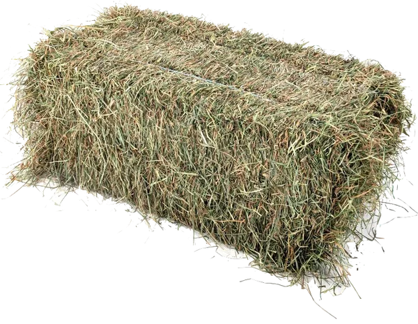 Foin de Prairie - Lot de 10 Palettes (7,5 Tonnes) - 300 bottes de 25 kg